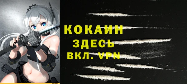прущие грибы Касимов