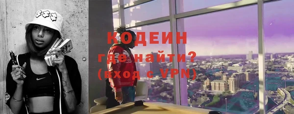 шишки Карпинск