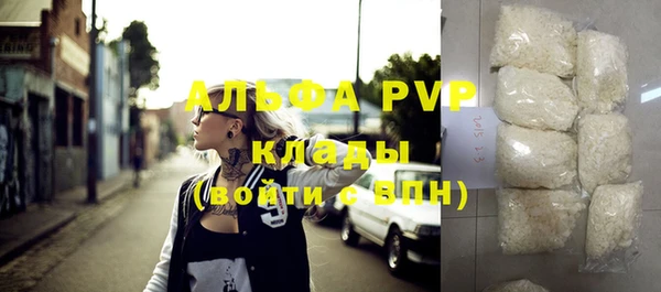 прущие грибы Касимов