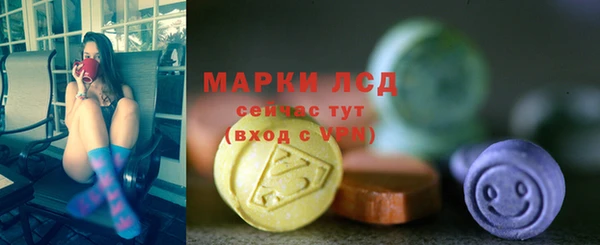 шишки Карпинск