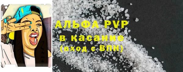 прущие грибы Касимов