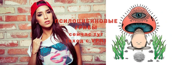 прущие грибы Касимов