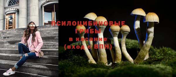 спиды Кинешма